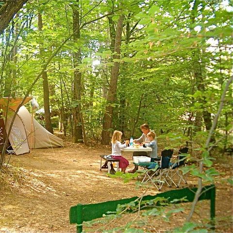 PARCELA - Búho: muy sombreado, sotobosque, con electricidad