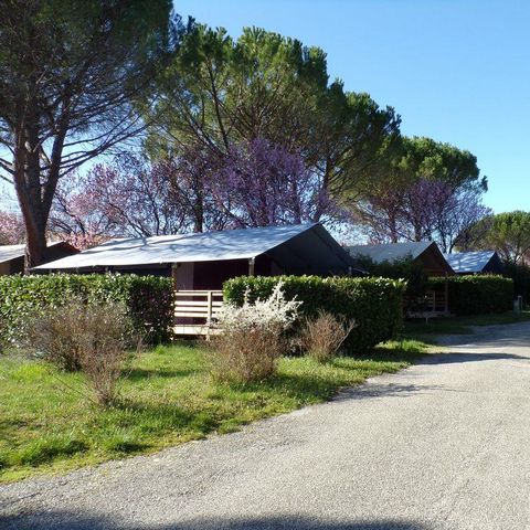 TENDA DA CAMPEGGIO 5 persone - FIORE LIBERO senza servizi igienici o approvvigionamento idrico