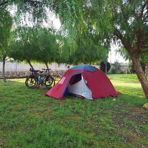 PIAZZOLA - per la tenda