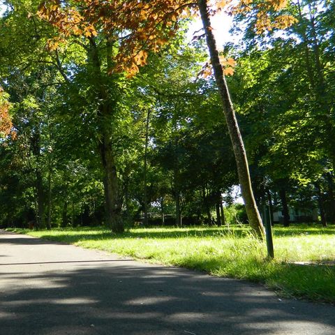 PARZELLE - Natur-Paket, ohne Strom