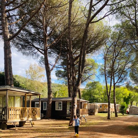 Camping Maureillas - Camping Pyrénées-Orientales - Afbeelding N°3