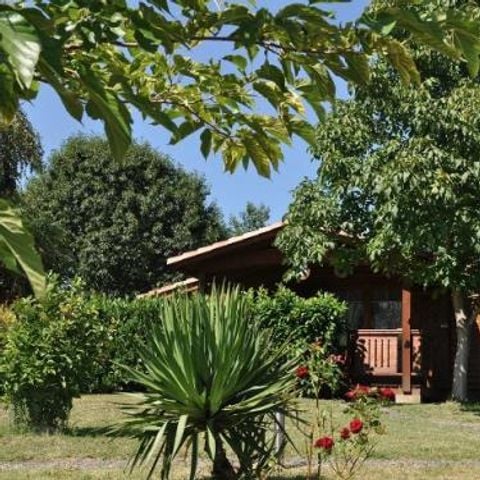 CHALET 5 personnes - Chalet 5 personnes