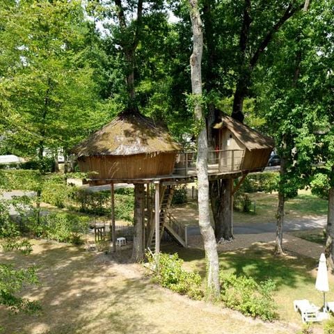 HÉBERGEMENT INSOLITE 5 personnes - Cabane dans les arbres