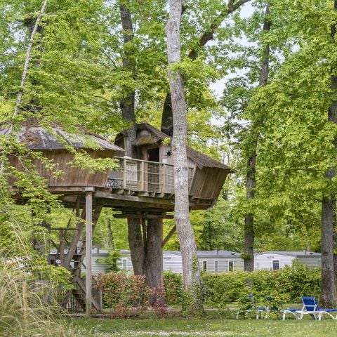 HÉBERGEMENT INSOLITE 5 personnes - Cabane dans les arbres