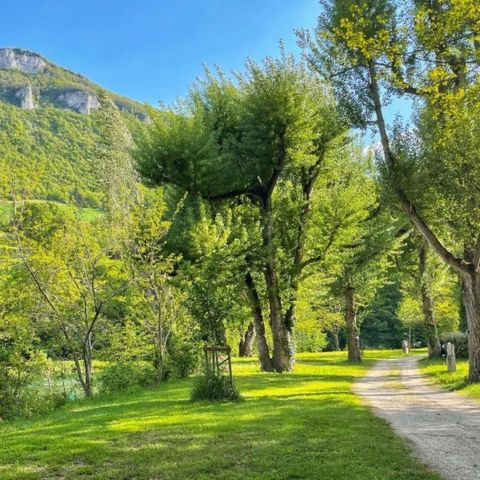 EMPLACEMENT - Forfait Bord de rivière  (1 tente, caravane ou camping-car / 1 voiture)