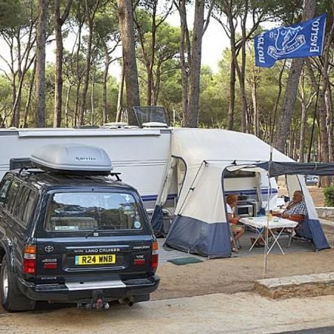 STAANPLAATS - Standaard Comfort standplaats (60-75m2): auto + caravan of camper of tent + elektriciteit