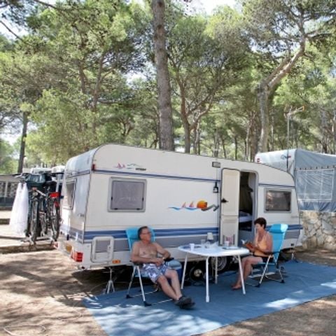 PARCELA - Parcela Estándar Confort (60-75m2): coche + caravana o autocaravana o tienda + electricidad