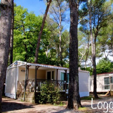 MOBILE HOME 4 people - Maxi Confort IRM Loggia 4 pers 2Ch