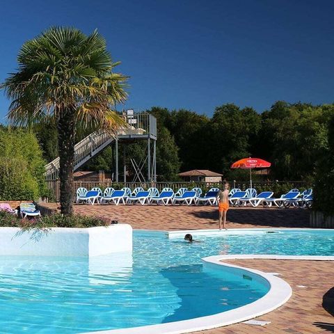 Camping Domaine Les Bois du Bardelet  - Camping Loiret - Image N°5