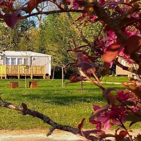 MOBILE HOME 4 people - Lodge Cerisier 2 rooms