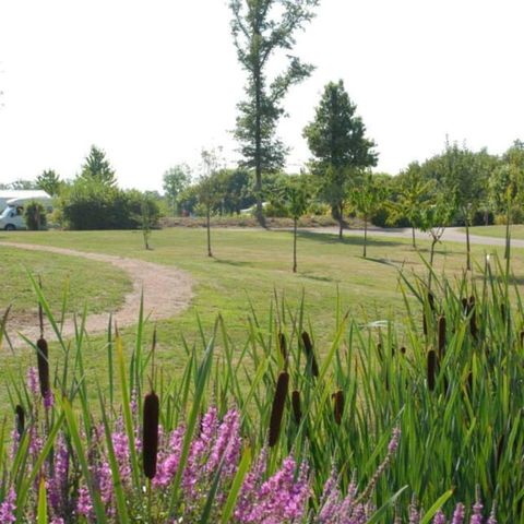 EMPLACEMENT - Forfait Confort (1 tente, caravane ou camping-car / 1 voiture / électricité)