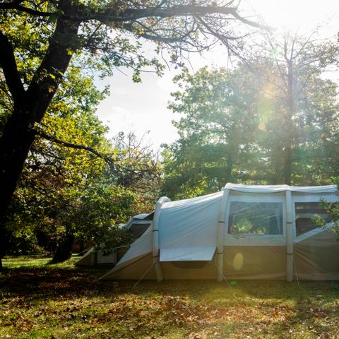 TENDA DA CAMPEGGIO 6 persone - Pronto per il campeggio Tribù 3 camere da letto + frigorifero