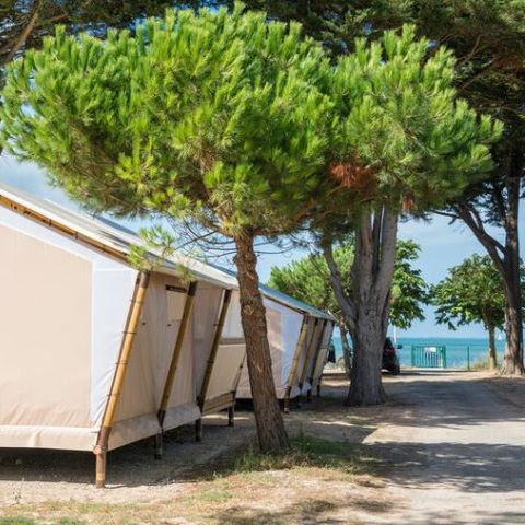 TENDA IN TELA E LEGNO 4 persone - Lodge Premium 2bed4 In arrivo domenica