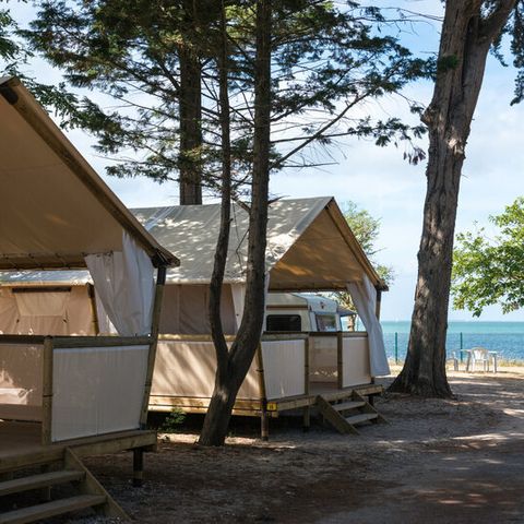 TENDA IN TELA E LEGNO 4 persone - Lodge Premium 2bed4 In arrivo domenica