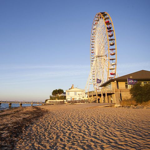 Village Vacances Sous les Pins - Camping Charente-Maritime