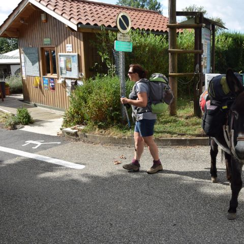 PIAZZOLA - Escursionista o ciclista o motociclista