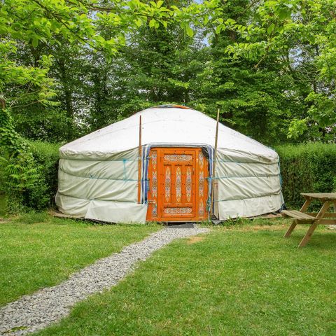 UNIEKE ACCOMMODATIE 4 personen - Yurt 4 pers max