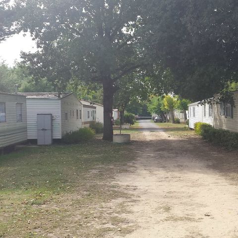 Camping Les Payolles - Camping Charente-Maritime - Image N°5