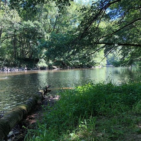 Camping du Pont de Saint Gal - Camping Puy-de-Dôme - Afbeelding N°2