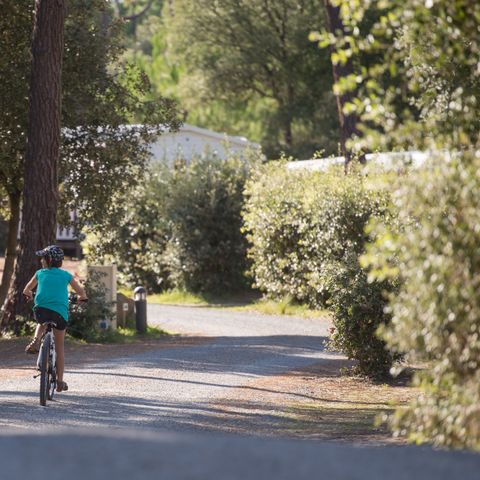 Domaine des Pins   - Camping Vendée - Image N°2