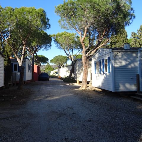 Camping International du Roussillon - Camping Pyrénées-Orientales - Afbeelding N°4