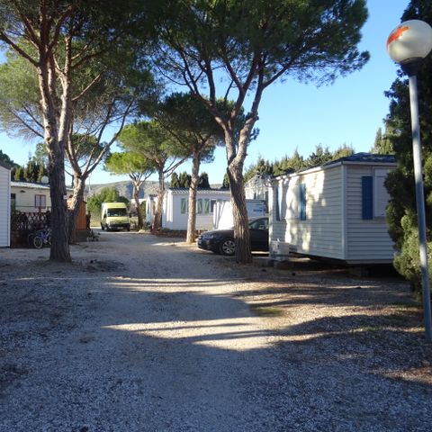 Camping International du Roussillon - Camping Pyrénées-Orientales - Image N°5