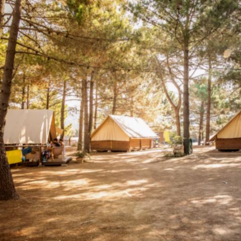 TENDA IN TELA E LEGNO 5 persone - Tenda Lodge senza servizi igienici - arrivo il sabato in alta stagione