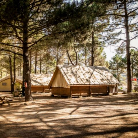 TENTE TOILE ET BOIS 5 personnes - Tente Lodge Sans sanitaire - arrivée le mercredi en haute saison