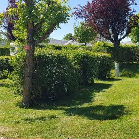 EMPLACEMENT - Forfait avec voiture