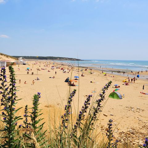 Camping Loyada à TALMONT SAINT HILAIRE, Tarifs Et Réservations