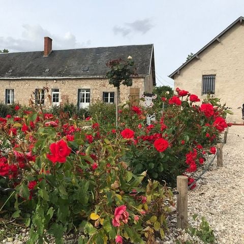 Camping Ferme Pédagogique de Prunay - Camping Loir-et-Cher - Image N°3