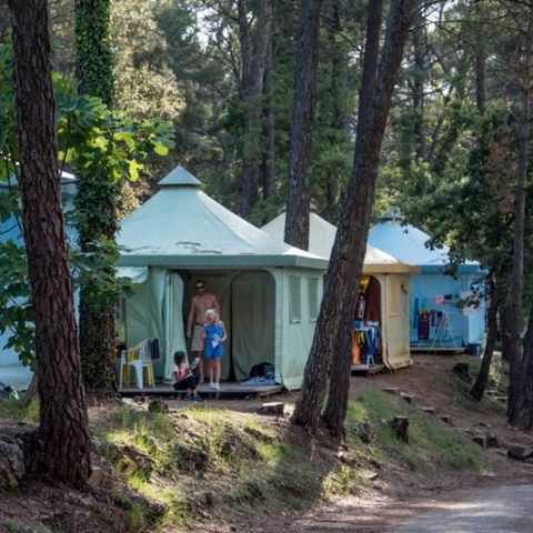 BUNGALOW TOILÉ 5 personnes - Campeur (sans sanitaires)