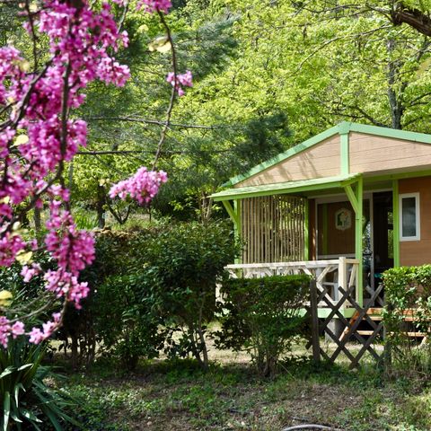 CHALET 4 personnes - Albizia (Option payante possible climatisation mobile) 