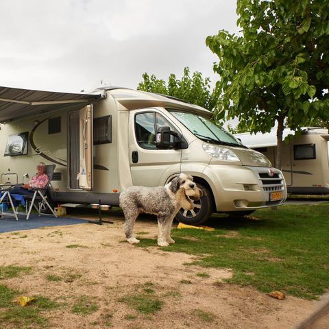 PARCELA - Comodidad: coche + tienda o caravana o autocaravana + electricidad + agua