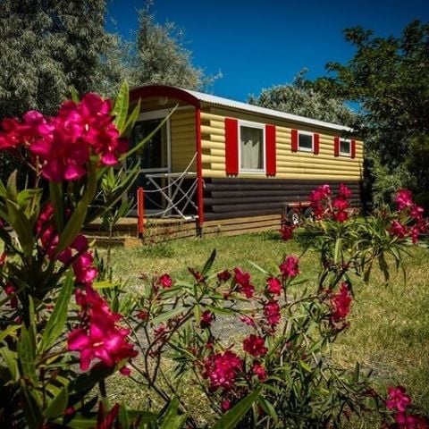 AUßERGEWÖHNLICHE UNTERKUNFT 4 Personen - 1-Schlafzimmer-Wohnwagen 4 Personen nicht sanitarisiert