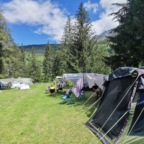 PIAZZOLA - Pacchetto natura (1 tenda, roulotte o camper / 1 auto)