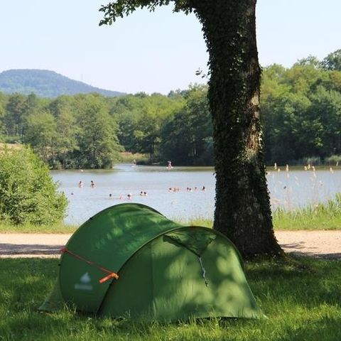 PIAZZOLA - tenda