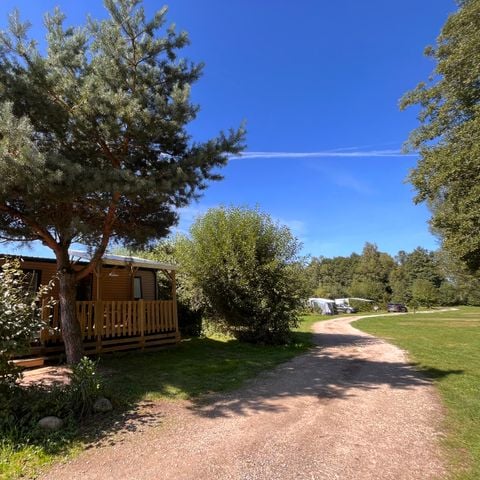 BUNGALOW 5 people - Oak 28 m² with semi-covered wooden terrace