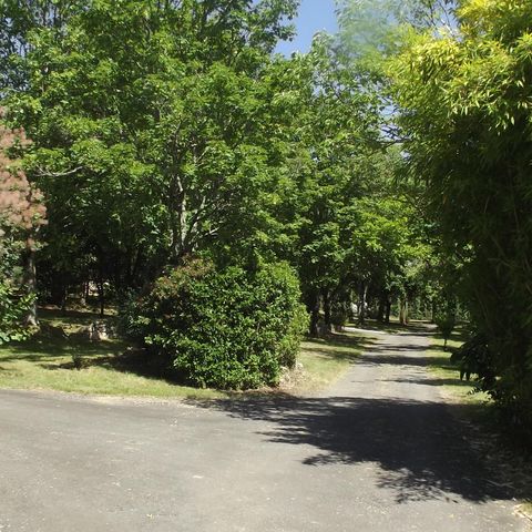 EMPLACEMENT - Emplacement Confort : eau / électricité délimité par des haies végétales.100 m² minimum