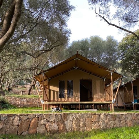 Safaritent 5 personen - Lodge tent zonder badkamer