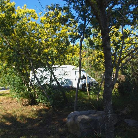EMPLACEMENT - Emplacement tente, caravane ou camping-car + électricité