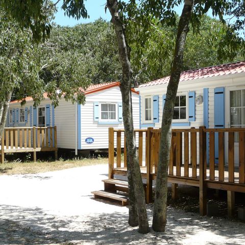 Camping Les Micocouliers - Camping Pyrénées-Orientales - Image N°5