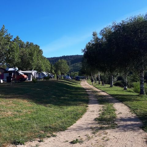 PARZELLE - Pauschale für Stellplatz (Zelt oder Wohnwagen + Fahrzeug + Strom)