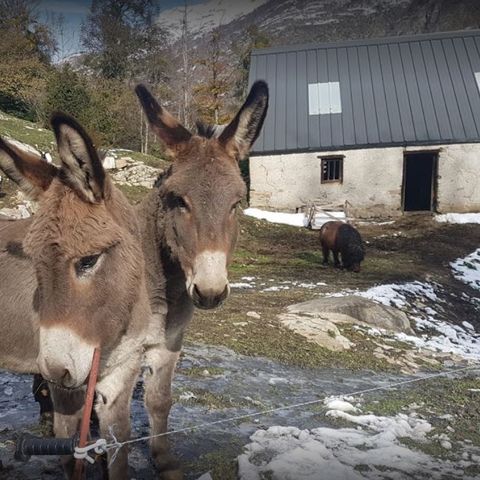 Camping Les Tilleuls - Camping Hautes-Pyrénées - Afbeelding N°2