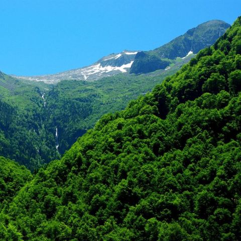 Camping Les Gites de Beille - Camping Ariège