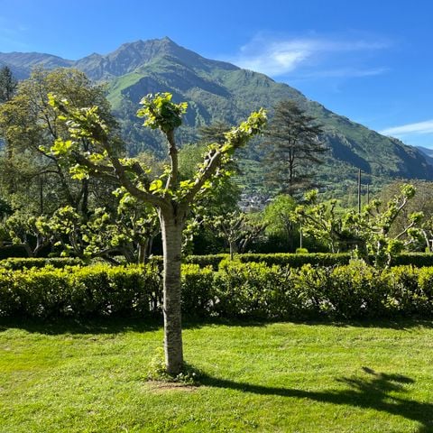 Camping Du Valentin - Camping Pyrénées-Atlantiques - Image N°2