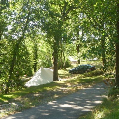 PARZELLE - Forfait Nature : Stellplatz + Auto + Zelt/Wohnwagen oder Wohnmobil