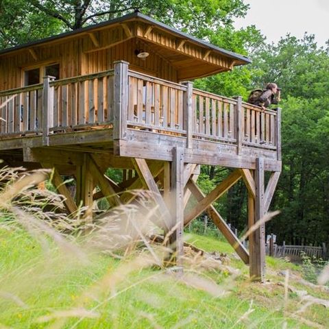 UNUSUAL ACCOMMODATION 5 people - CABANE in the trees 24m² / 1 bedroom - covered terrace