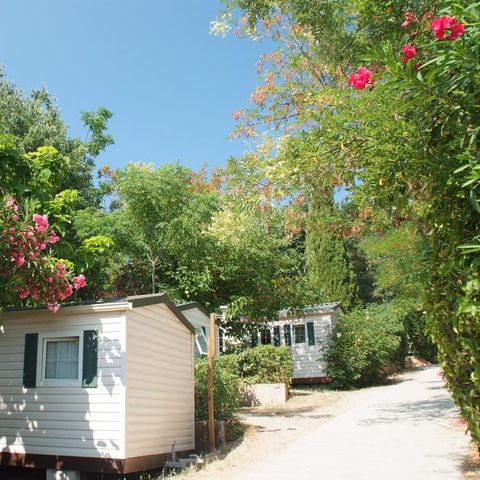 Camping Parc des Fontanettes - Camping Var - Image N°4