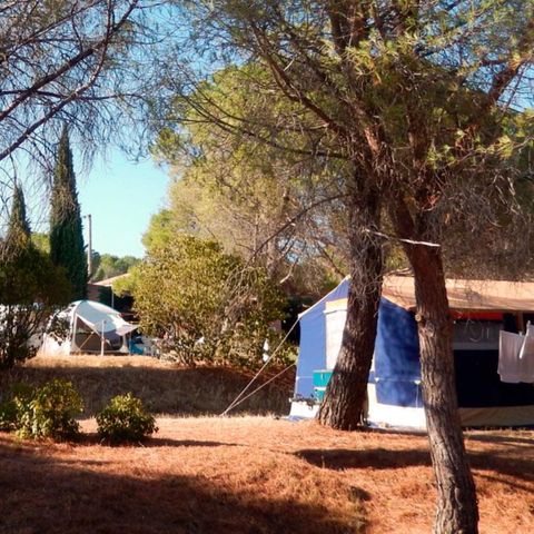 Camping Les Terrasses - Camping Hérault - Afbeelding N°4